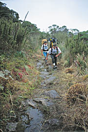 Serra do �rg�os, RJ